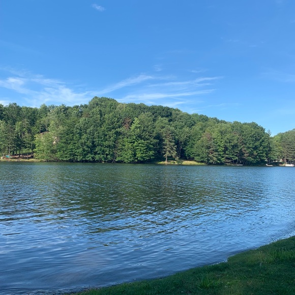 Meet your Posher, Carlton - Picture 1 of 1